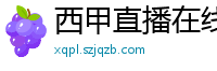 西甲直播在线观看